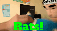 Sml Cody GIF - Sml Cody Rats GIFs