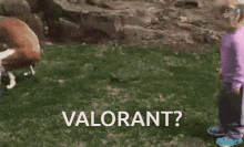 Valorant Get On GIF - Valorant Get On Poop GIFs
