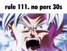 meme goku no perc30s rule111