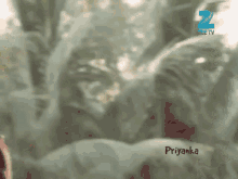 a blurred image of trees with the name priyanka on the bottom