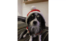 Nico Christmas Dog GIF - Nico Christmas Dog Cute GIFs