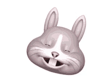 Alexaner Bunny Rabit Funny GIF - Alexaner Bunny Rabit Funny Bunny Funny GIFs