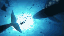 Ocean Whale GIF - Ocean Whale Parth GIFs