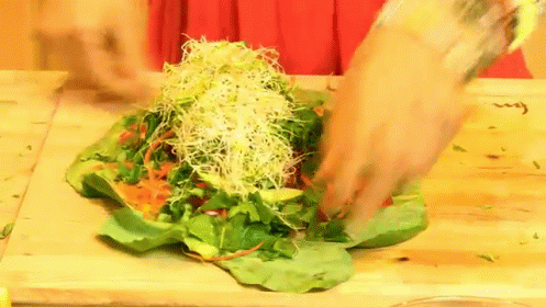 fully raw burrito
