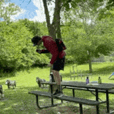a man is standing on a picnic table in a park with two dogs .