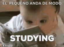 Studying Busy GIF