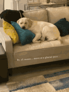 Move All Glacial Pace Puppy GIF - Move All Glacial Pace Puppy Eyes GIFs