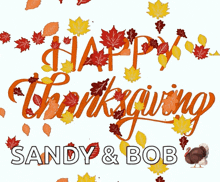 Happy Thanksgiving Thanksgiving GIF