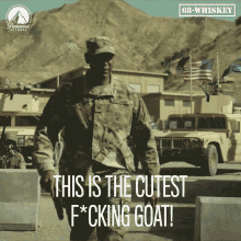 This Is The Cutest Fucking Goat Lamont Thompson GIF - This Is The Cutest Fucking Goat Lamont Thompson Colonel Harlan Austin GIFs
