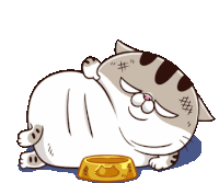 a cat is laying down next to a bowl of food .