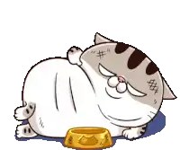 a cat is laying down next to a bowl of food .
