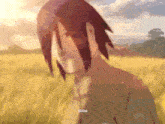 a man with red hair is standing in a field with the sun shining through the grass .