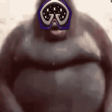 galaxy goggles gg ape goggle gorilla