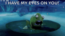 Eyes On You Frog GIF