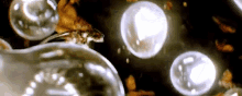 a close up of a bunch of bubbles on a dark background