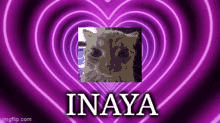 Inaya Love GIF - Inaya Love Heart GIFs
