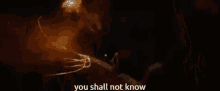 You Shall Not Know Gandalf GIF