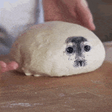 a dough ball with a seal face on it