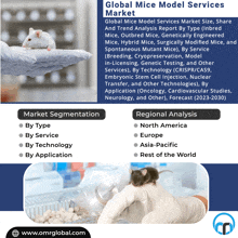 Mice Model Services Market GIF - Mice Model Services Market GIFs