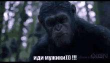 Go Planet Of The Apes GIF - Go Planet Of The Apes Go Men GIFs