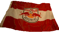 Bandeira Redbull Bragantino Futebol Clube Sticker - Bandeira Redbull Bragantino Futebol Clube Vamos Redbull Stickers