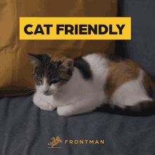 Imfrontman Catfriendly GIF - Imfrontman Frontman Catfriendly GIFs
