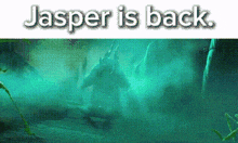 a picture of a shark in the water with the words `` jasper is back '' written on it .