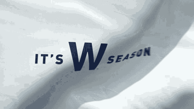 Cubs Flythew GIF - Cubs Flythew Wseason - Discover & Share GIFs