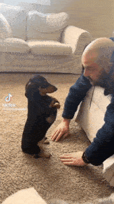 Weenie Dog Cute Dog GIF - Weenie Dog Cute Dog Head Shoulders Knees And Toes GIFs
