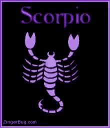 Zinger Bug Scorpion GIF - Zinger Bug Scorpion Zodiac Sign GIFs