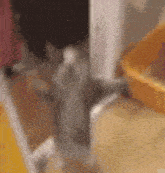 a cat is sitting on top of a table next to a bowl .