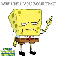 a cartoon of spongebob with the words wtf i tell you bout that behind him