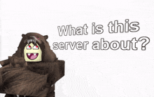 What Is This Server About Roblox GIF - What Is This Server About Roblox Roblox Memes GIFs