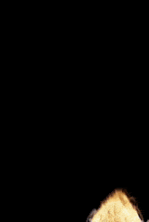 a silhouette of a person 's face made of flames