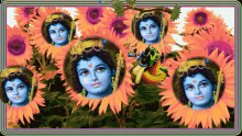 Good Morning Jaish Krishna GIF - Good Morning Jaish Krishna Sunflower GIFs