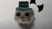 a hamster wearing a top hat with a fan on it 's head