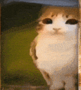 a close up of a cat 's face in a painting .