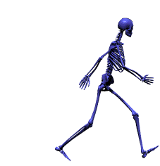 Skeleton Walk Away Sticker - Skeleton Walk Away Walking Stickers