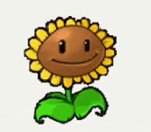 Sunflower GIF