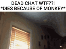 Dead Chat Dies GIF