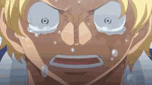 One Piece GIF - One Piece Crying GIFs