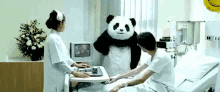 Mean Panda GIF - Angry Panda Tv Hospital GIFs