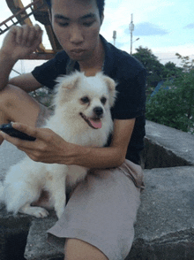 a man is holding a small white dog and looking at his phone