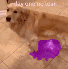 Day One No Lean Leaning GIF - Day One No Lean Leaning Pissed Myself GIFs