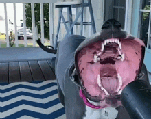 a dog is yawning with its mouth wide open on a porch