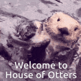 an otter is swimming in the water with the words welcome to house of otters written on the bottom