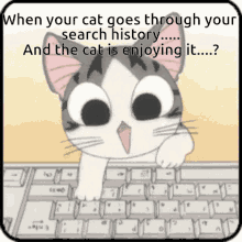 Anime Cat GIF - Anime Cat Computer GIFs