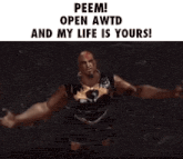 a man in a video game says " peem open awtd and my life is yours "