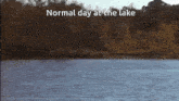a normal day at the lake is shown with a lake and trees in the background