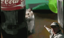 Mouse Muis GIF